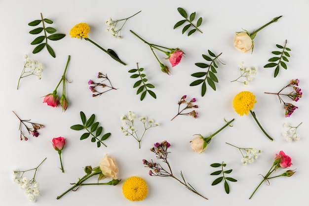 Bovenaanzicht bloemen collectie op tafel