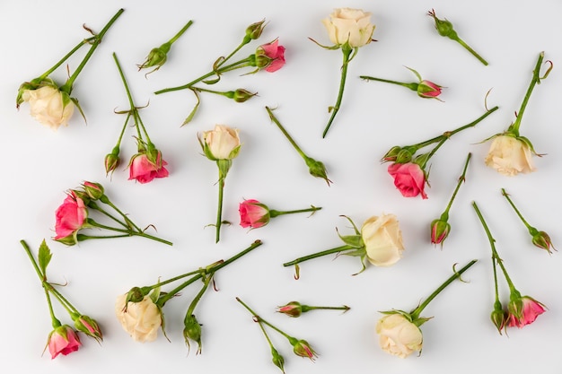 Gratis foto bovenaanzicht bloemen collectie