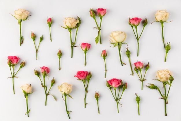 Gratis foto bovenaanzicht bloemen collectie