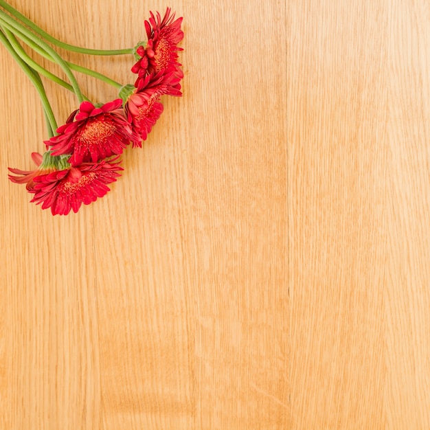 Bovenaanzicht bloemen met kopie ruimte