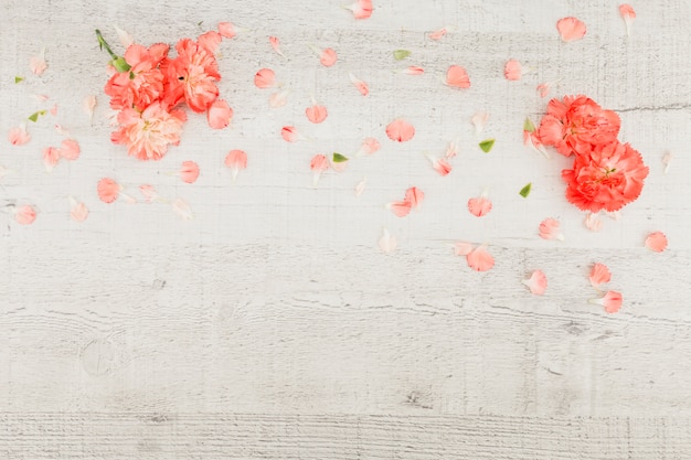 Bovenaanzicht bloemen met kopie ruimte