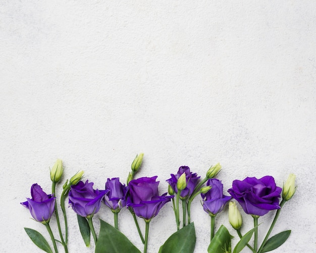 Bovenaanzicht bloemen met kopie-ruimte