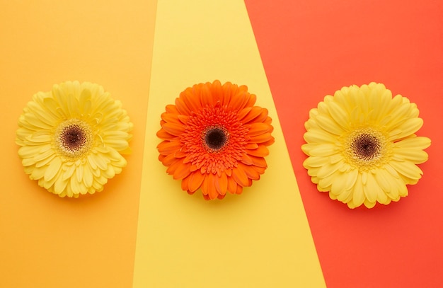 Bovenaanzicht bloemen op bureau