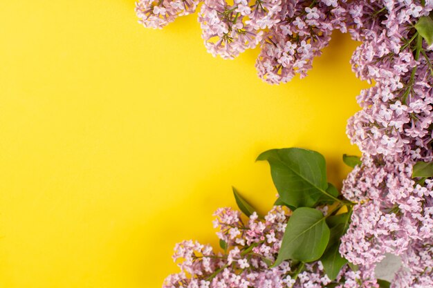 bovenaanzicht bloemen paars mooi op het gele bureau