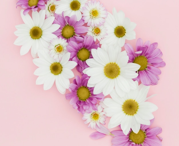 Gratis foto bovenaanzicht bloemstuk op roze achtergrond