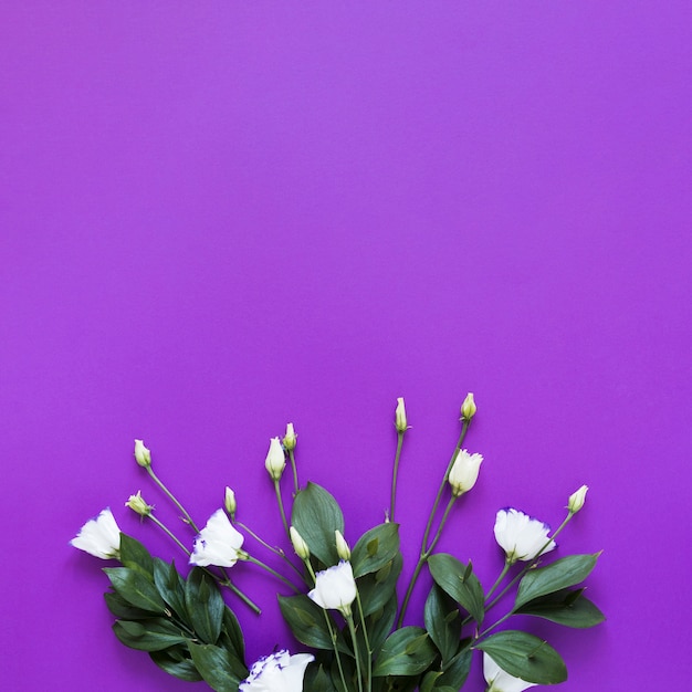 Bovenaanzicht boeket rozen op violet kopie ruimte achtergrond