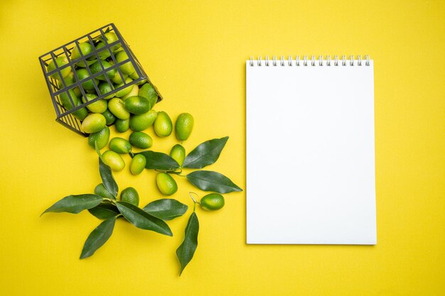 Bovenaanzicht citrusvruchten de smakelijke citrusvruchten met bladeren naast het witte notitieboekje