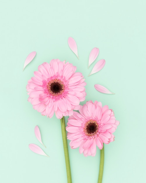 Bovenaanzicht decoratie met roze bloemen