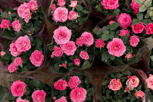 Bovenaanzicht decoratie met roze pioenrozen