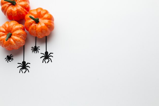 Bovenaanzicht decoratie pompoenen en spinnen