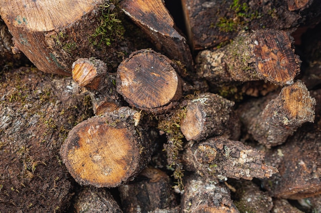 Bovenaanzicht droog hout