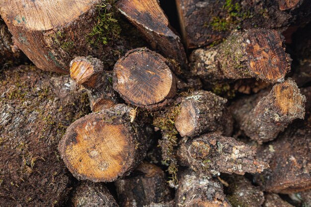 Bovenaanzicht droog hout