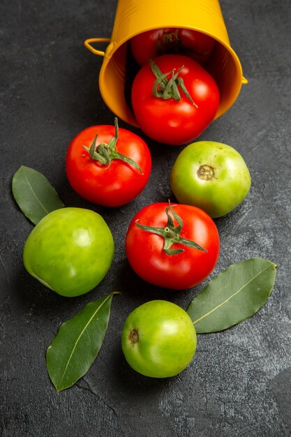 Bovenaanzicht emmer met rode en groene tomaten en laurierblaadjes op donkere achtergrond