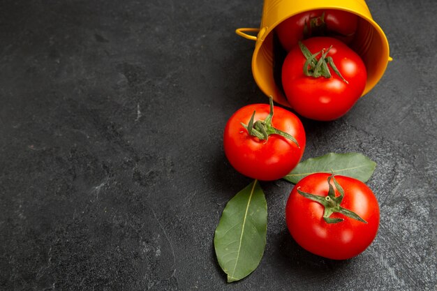 Bovenaanzicht emmer met rode tomaten en laurierblaadjes op donkere achtergrond