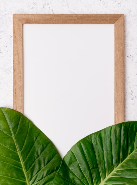 Bovenaanzicht frame met groene bladeren