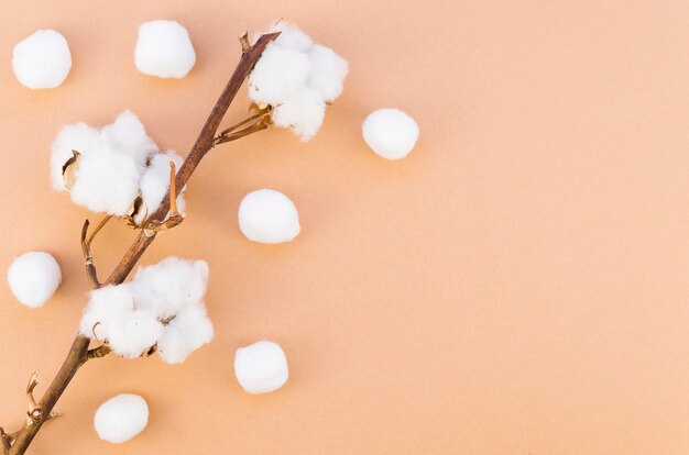 Bovenaanzicht frame met katoenen bloem op tak