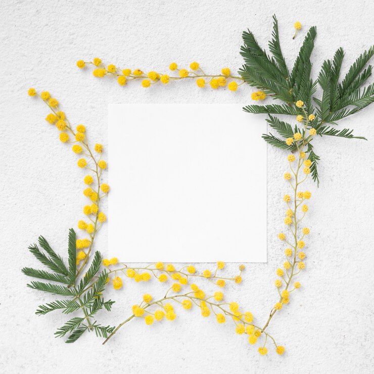 Gratis Foto bovenaanzicht frame van bloemen takken