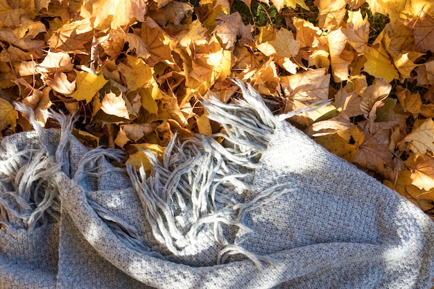 Gratis foto bovenaanzicht grijze deken op bladeren