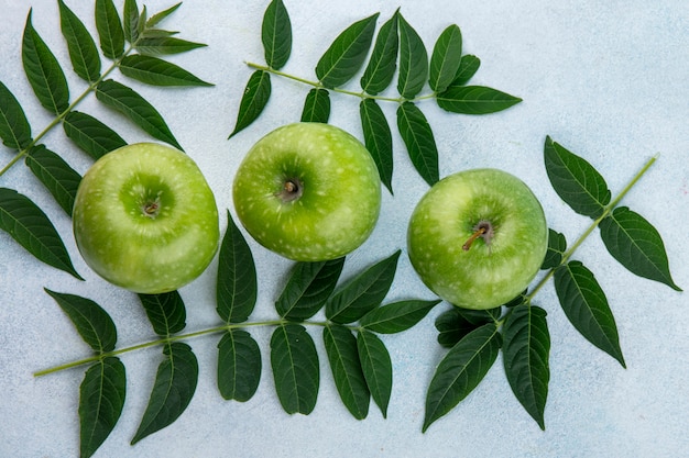 Bovenaanzicht groene appels met bladtakken