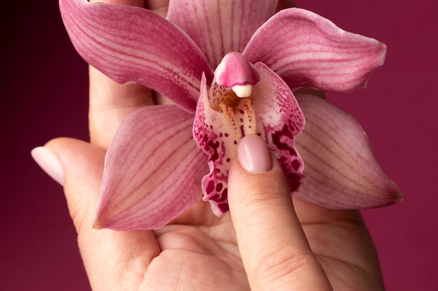 Bovenaanzicht hand met orchidee