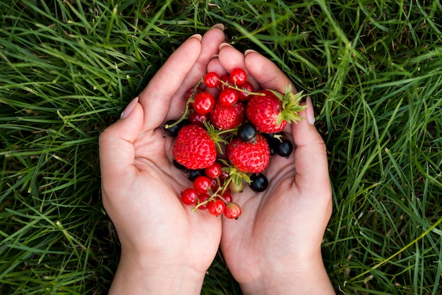 Bovenaanzicht handen met fruit