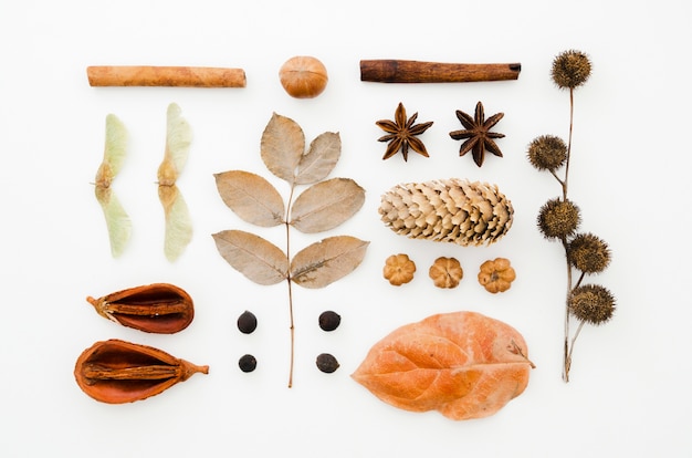 Bovenaanzicht herfst bladeren plat lag