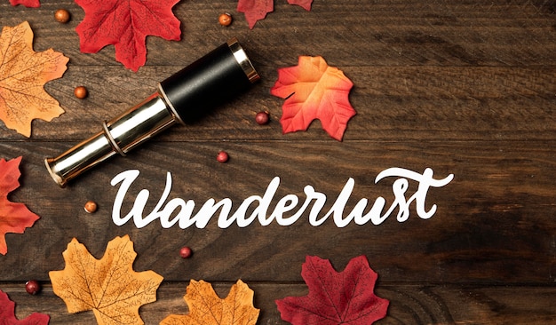 Bovenaanzicht herfst reizen concept met bladeren