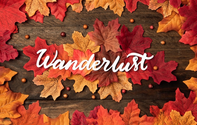 Bovenaanzicht herfst reizen concept met bladeren