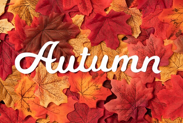 Bovenaanzicht herfst reizen concept met bladeren