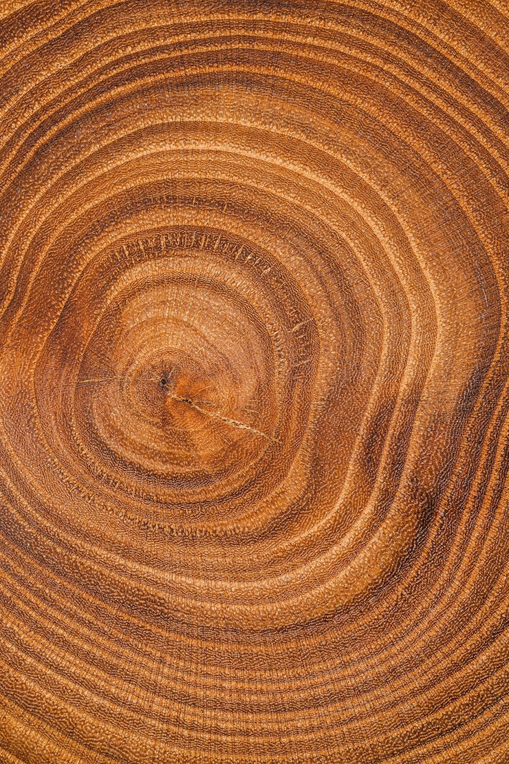 Gratis Foto bovenaanzicht hout achtergrond