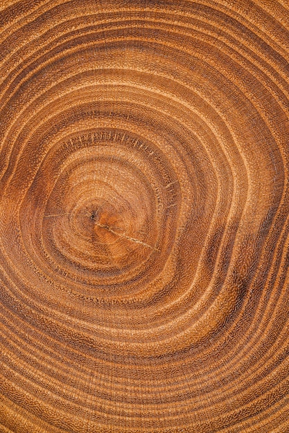 Bovenaanzicht hout achtergrond