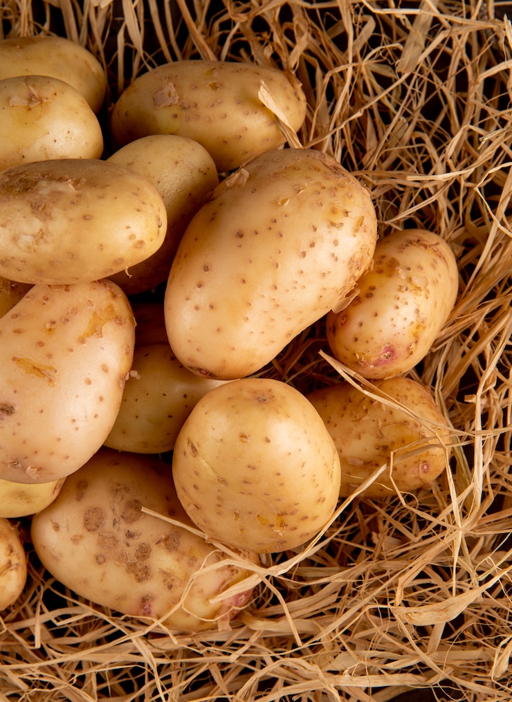 Gratis Foto bovenaanzicht jonge aardappelen op het hooi