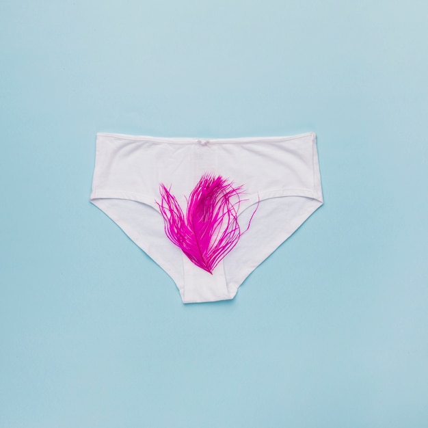 Gratis foto bovenaanzicht knickers met veer