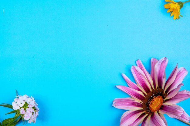 Bovenaanzicht kopie ruimte paars madeliefje met gele en witte bloem op een blauwe achtergrond