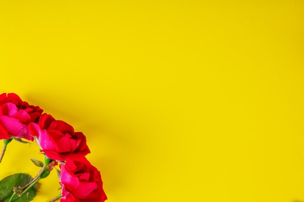 Bovenaanzicht kopie ruimte roze rozen op een gele achtergrond