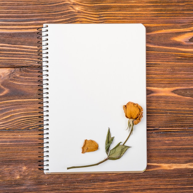 Bovenaanzicht notitieboek met droge bloem bovenop