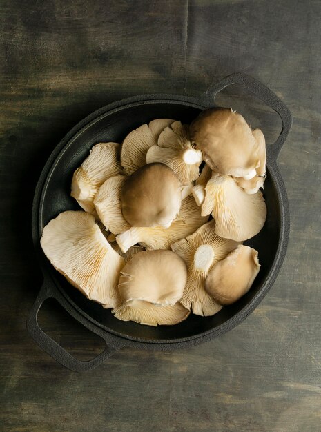 Bovenaanzicht paddestoelen in pot