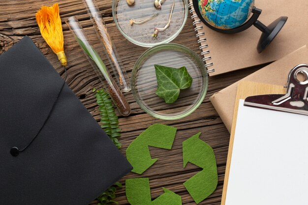 Bovenaanzicht planten en studieartikelen