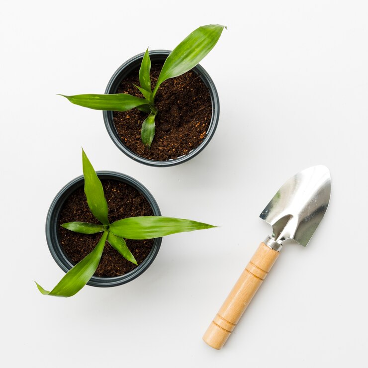 Gratis Foto bovenaanzicht planten met schop