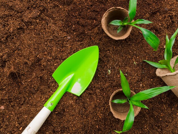 Bovenaanzicht planten met schop