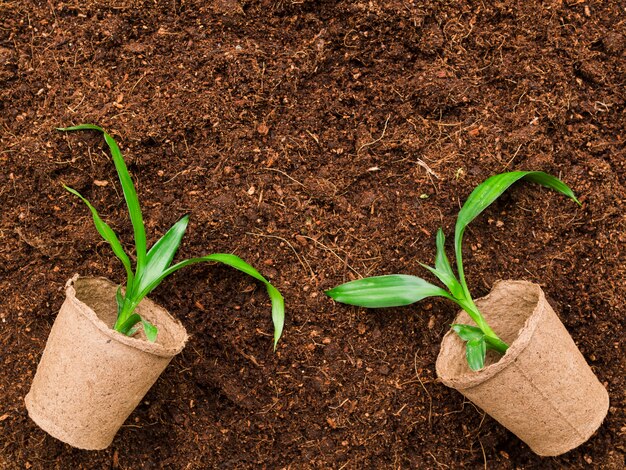 Bovenaanzicht planten