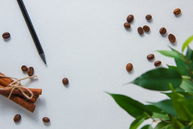Bovenaanzicht potlood met koffiebonen, droge kaneel, plant op witte achtergrond. horizontaal