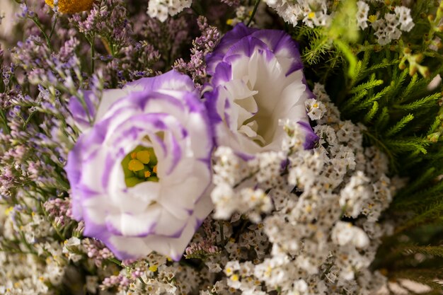 Bovenaanzicht prachtige wazige bloemen