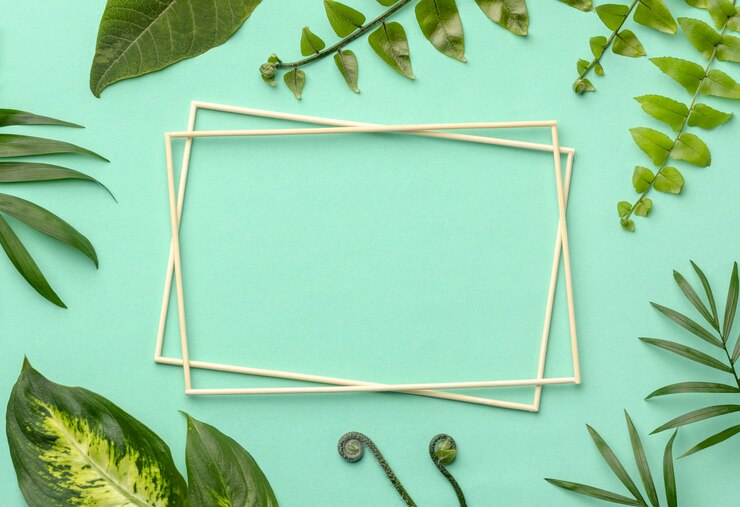 Gratis Foto bovenaanzicht regeling van groene bladeren met lege frames