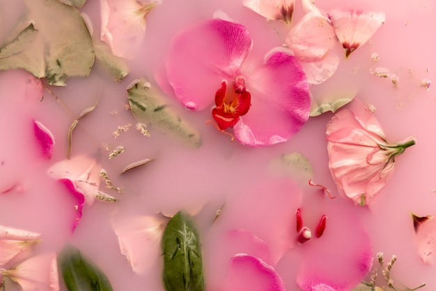 Gratis foto bovenaanzicht roze bloemen in roze gekleurd water