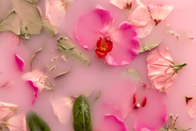 Bovenaanzicht roze bloemen in roze gekleurd water