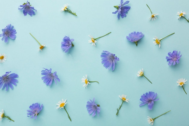 Gratis foto bovenaanzicht samenstelling van bloemen