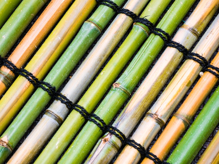 Gratis Foto bovenaanzicht shot van bamboe