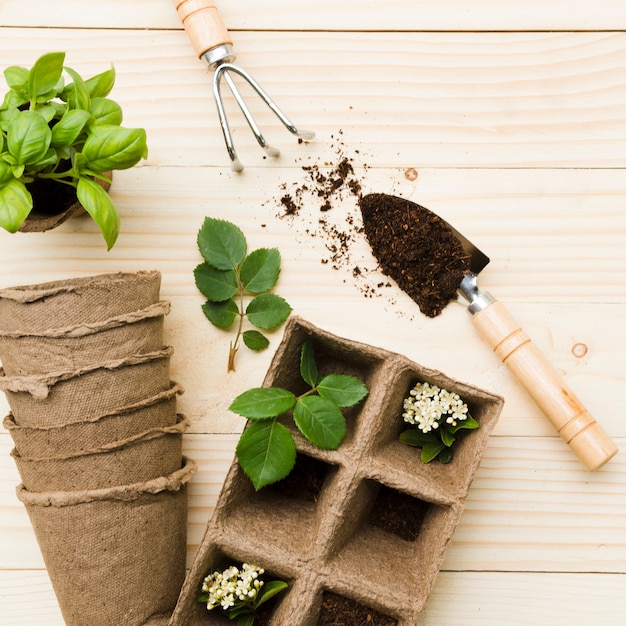 Bovenaanzicht tuingereedschap en planten