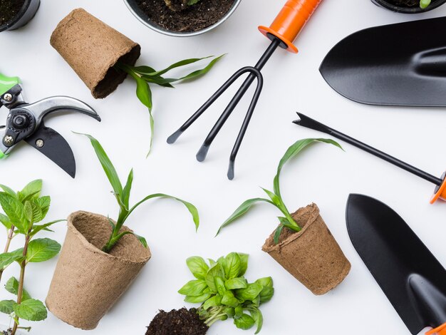 Bovenaanzicht tuingereedschap en planten